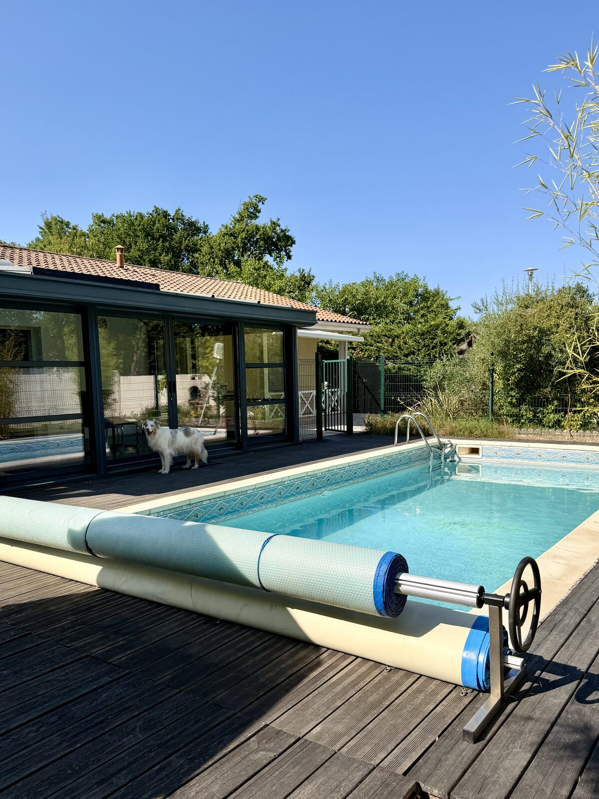 Piscine et terrasse en bois de la maison de plain-pied à Pessac, sans vis-à-vis