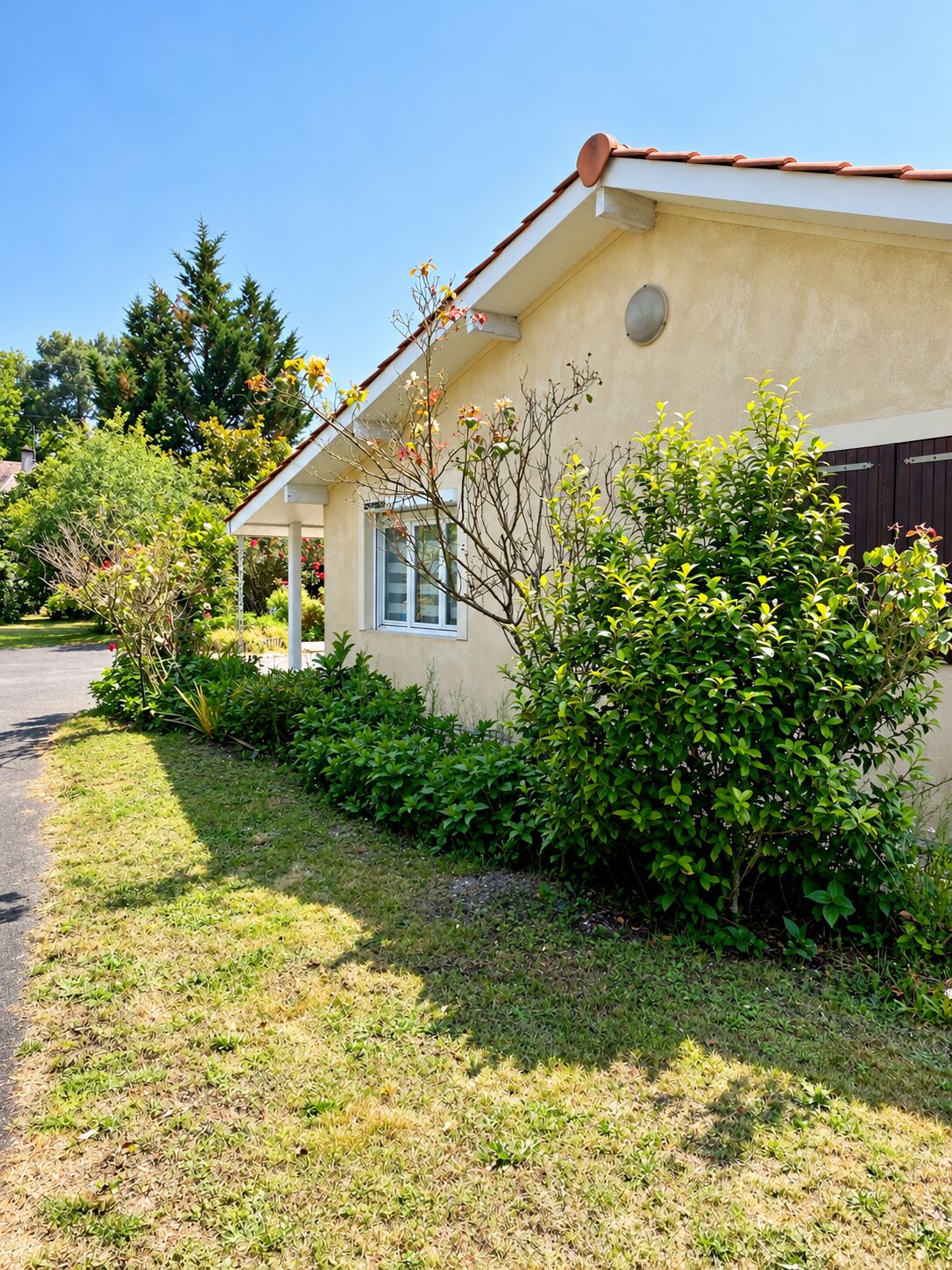 Façade latérale de la maison de plain-pied bordée d'arbustes, Pessac