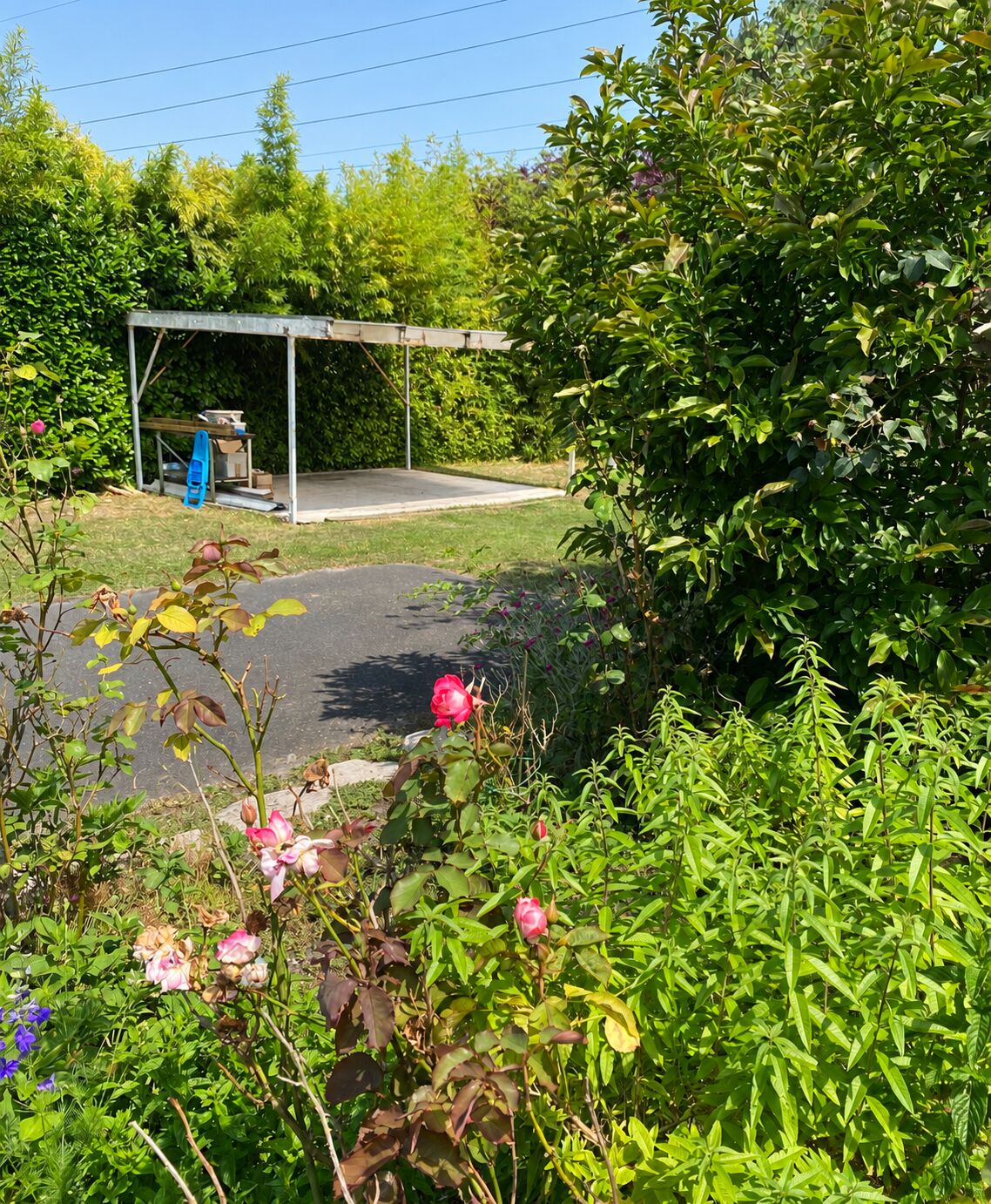 Carport au fond du jardin, maison à Pessac