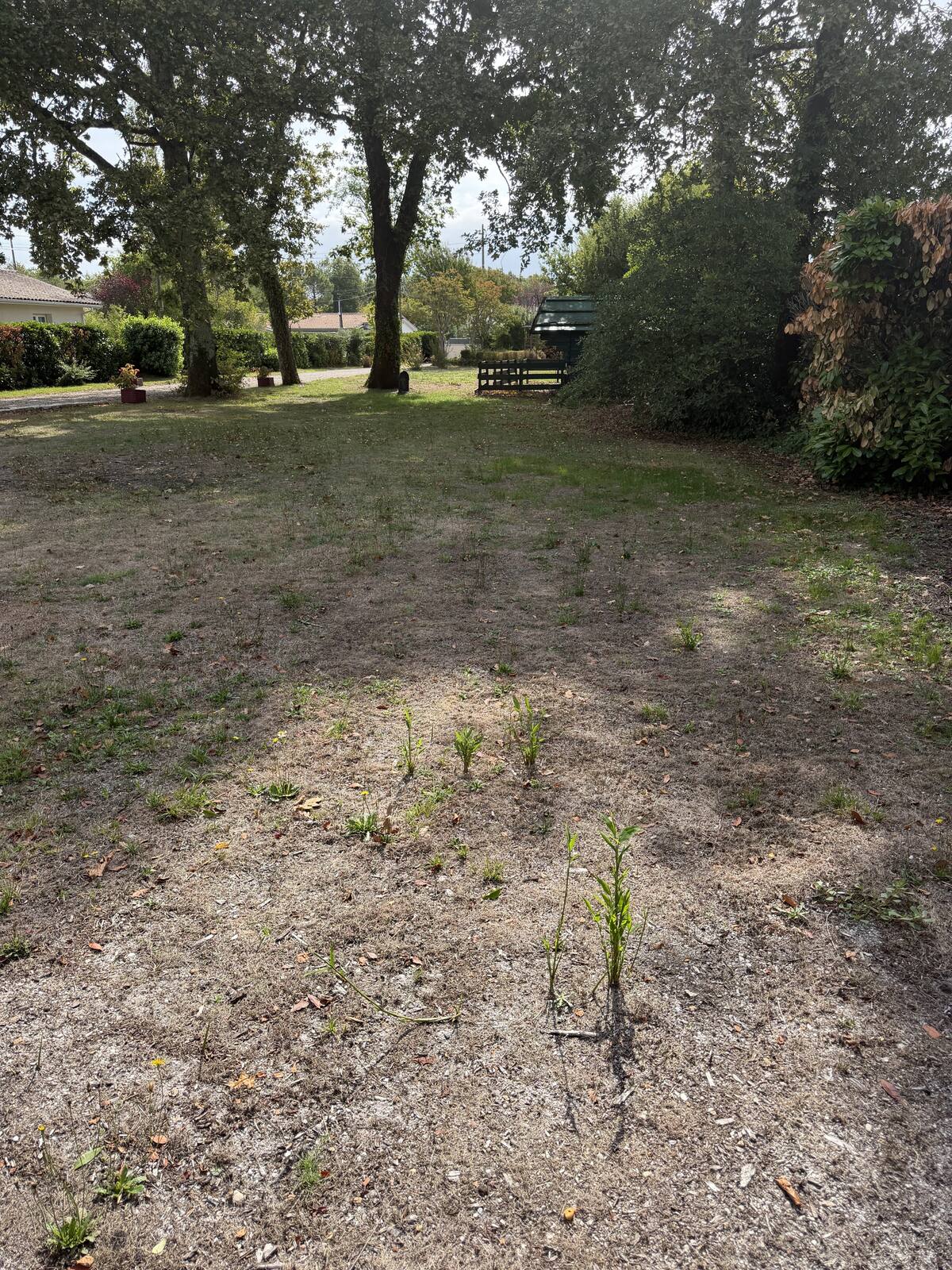 Terrain constructible de 1 908 m² arboré à Pessac