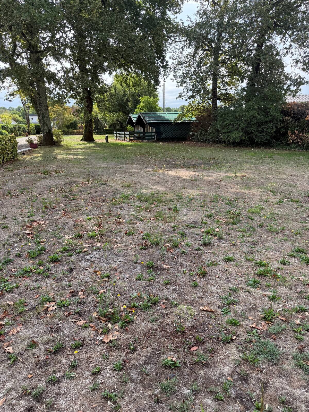 Terrain plat et arboré avec abri de jardin en fond, Pessac