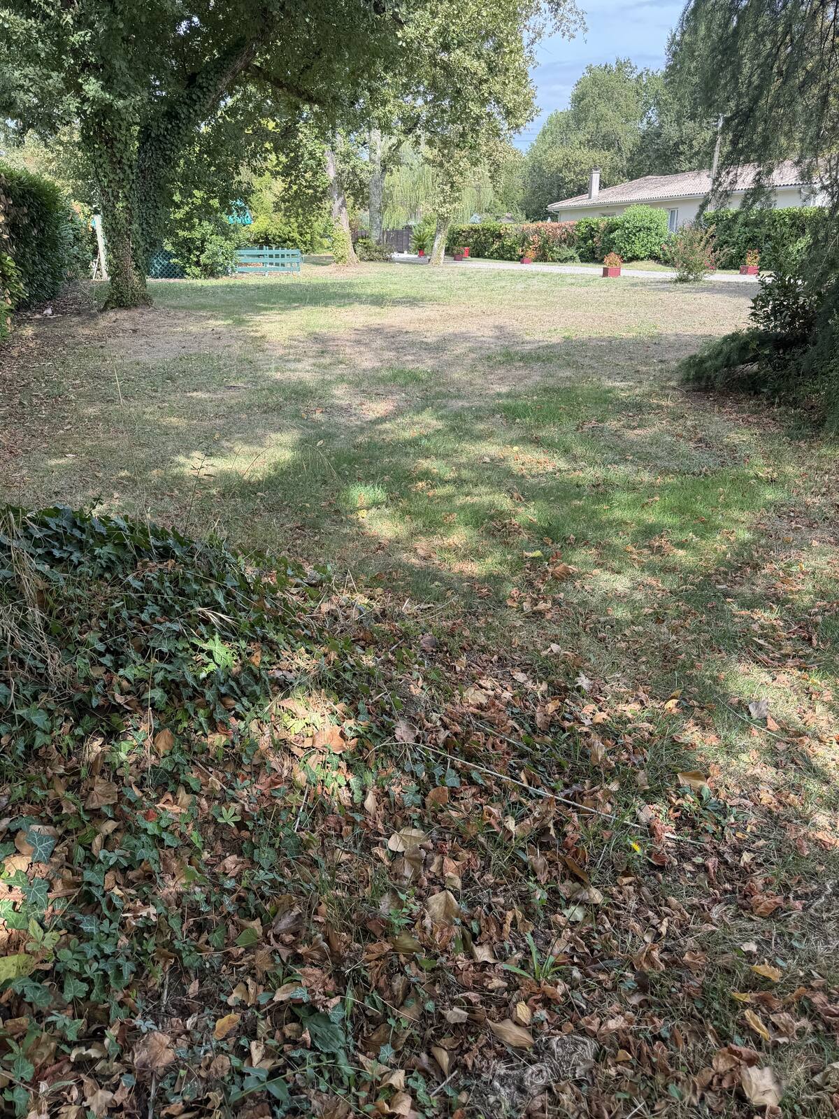 Partie engazonnée du terrain, environnement résidentiel calme et verdoyant, Pessac