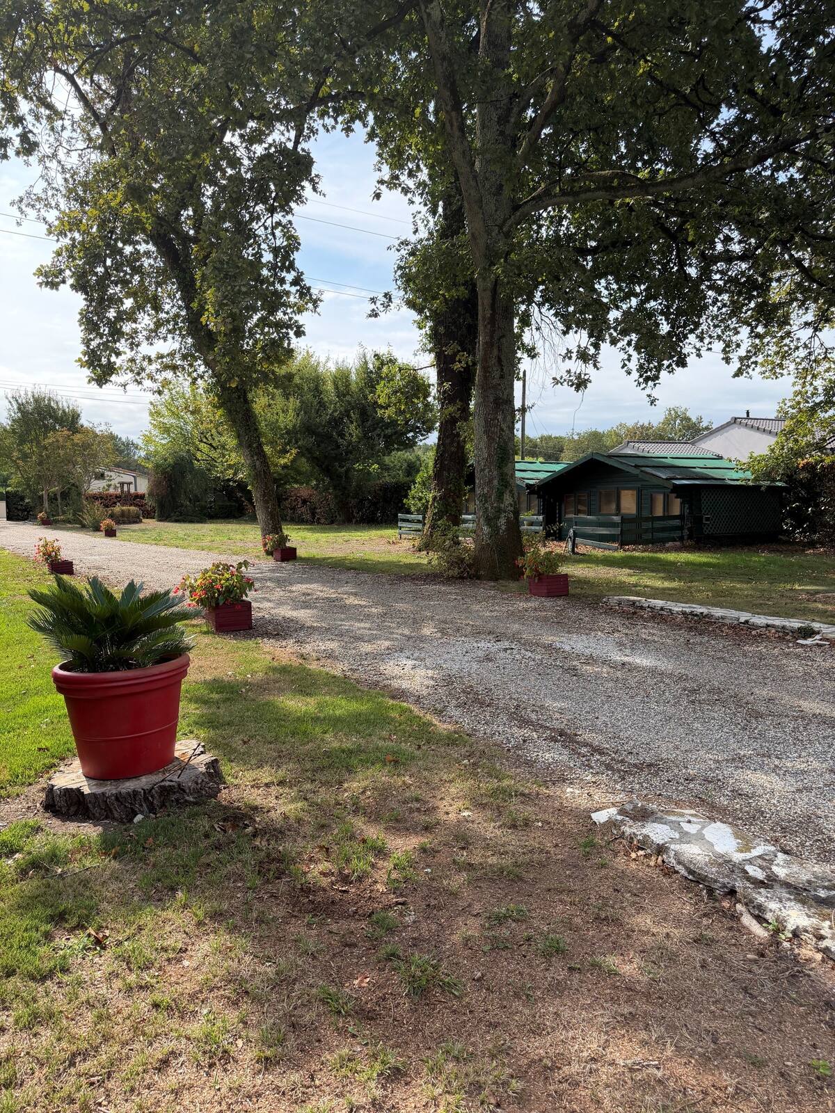Allée gravillonnée d'accès au terrain, bordée de potées fleuries, Pessac