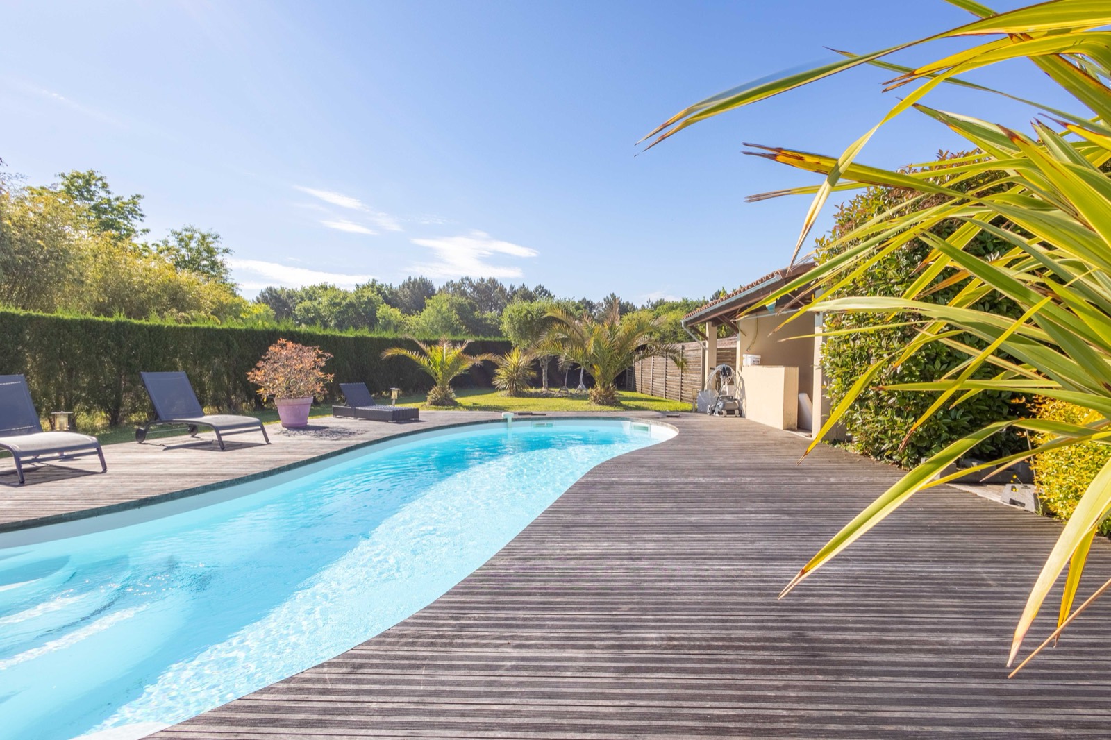Jardin paysager sans vis-à-vis autour de la piscine, villa à Pessac